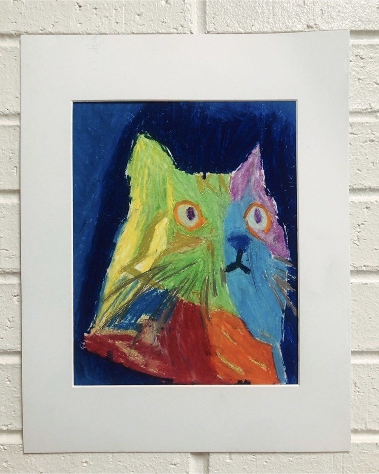 cat